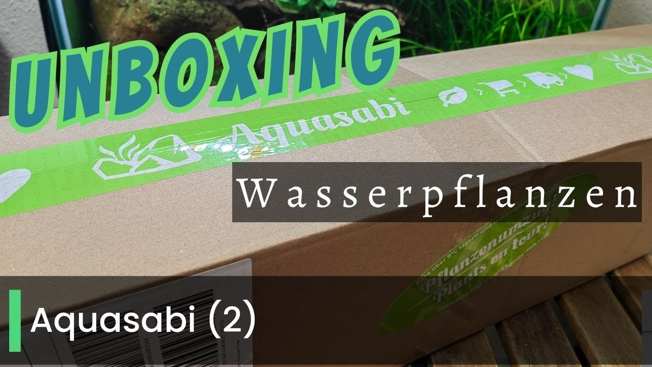 Unboxing Wasserpflanzen von @Aquasabi -Pflanzen f&uuml;r das Betta Projekt! #aquaristik #aquarium #plants