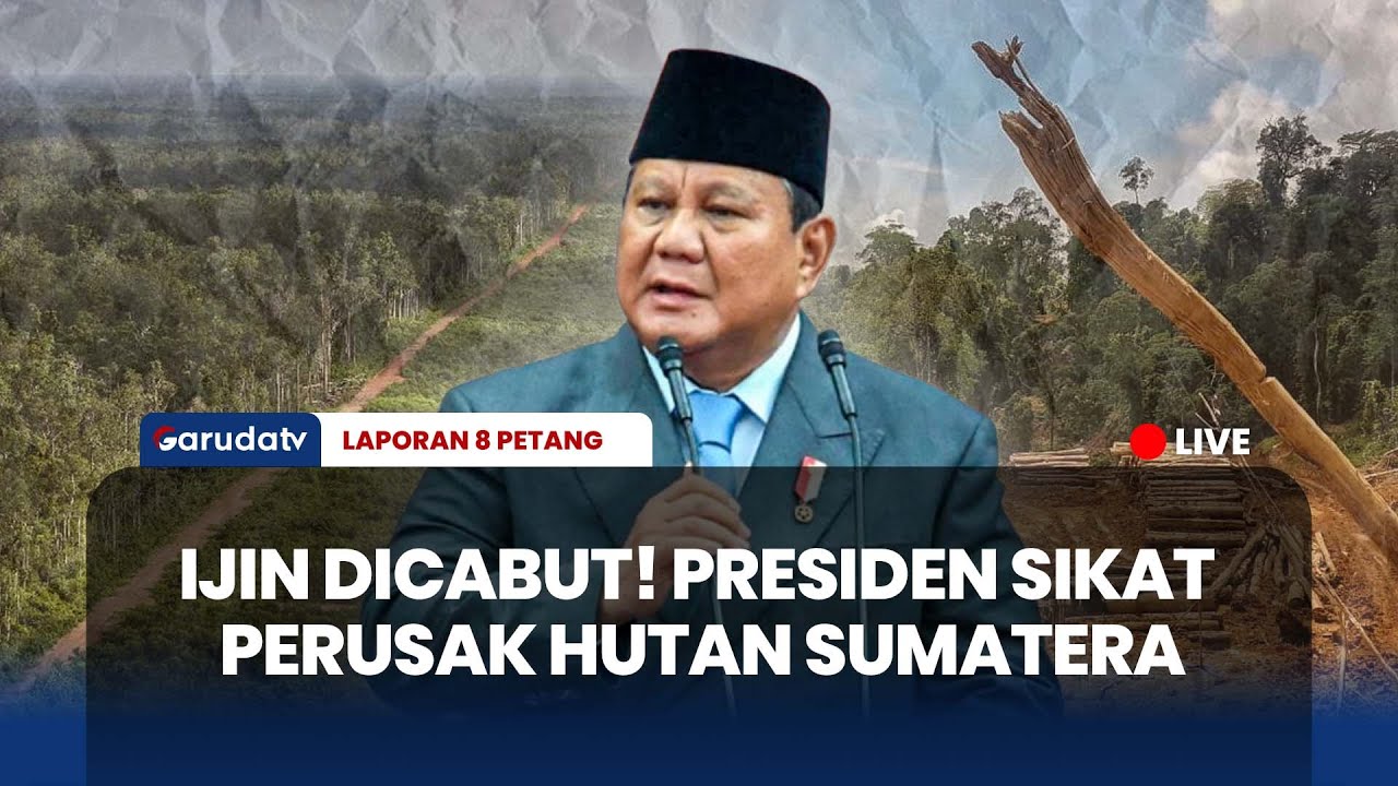 PRESIDEN BERTINDAK! 22 Izin Konsesi Hutan Dicabut Paksa, Satu Juta Hektar Kembali ke Negara!