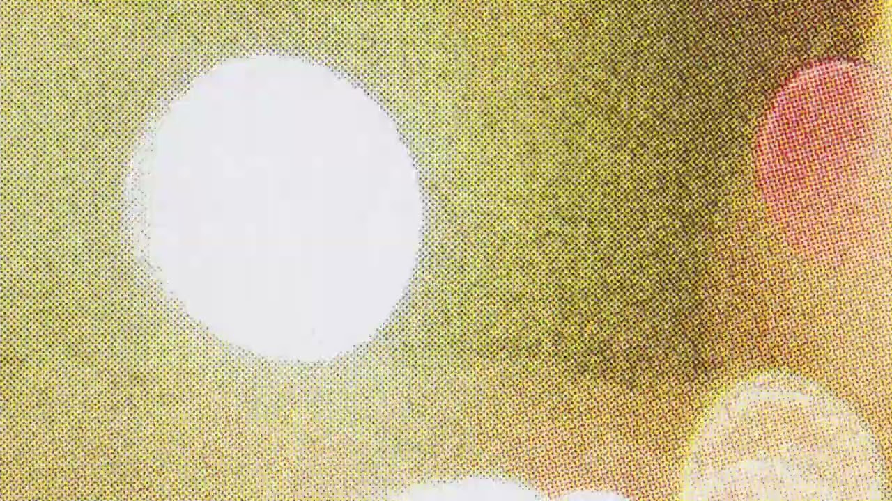 Essa Confusão - Dora Morelenbaum (visualizer)