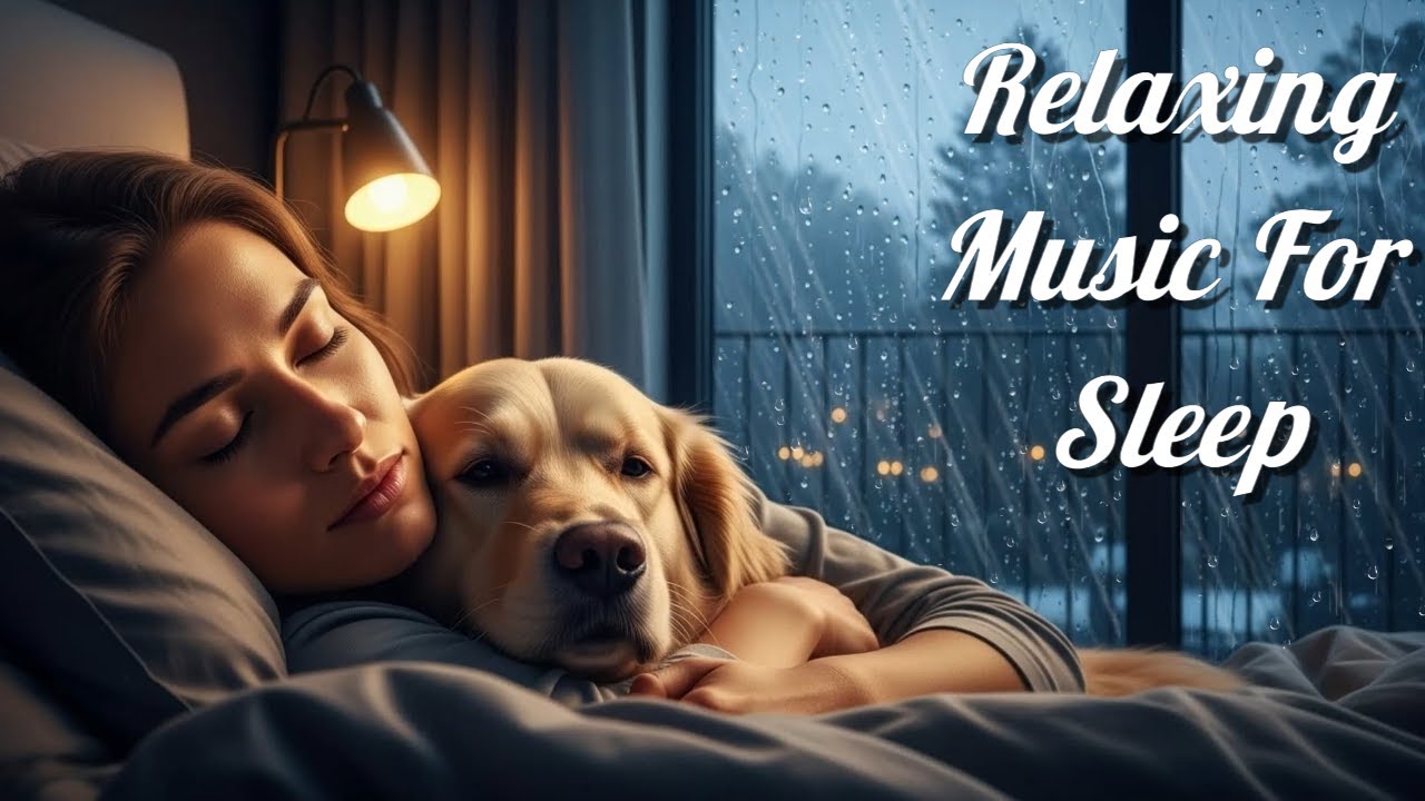 Night Rain View 🌙 Sounds for Deep Rest