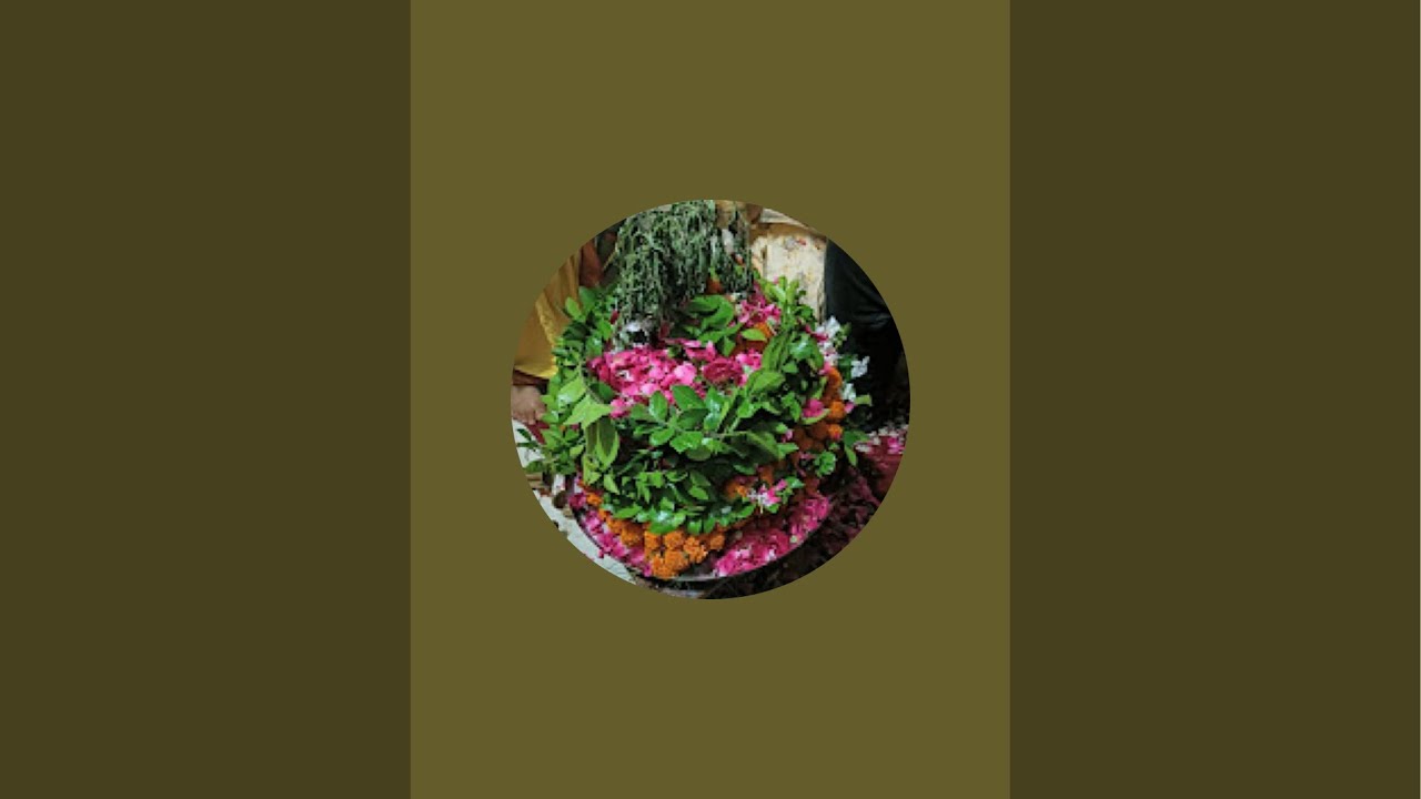 Leaf_And_Bloom_MVT is live