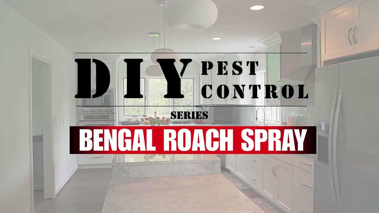 How to Use Bengal Roach Spray