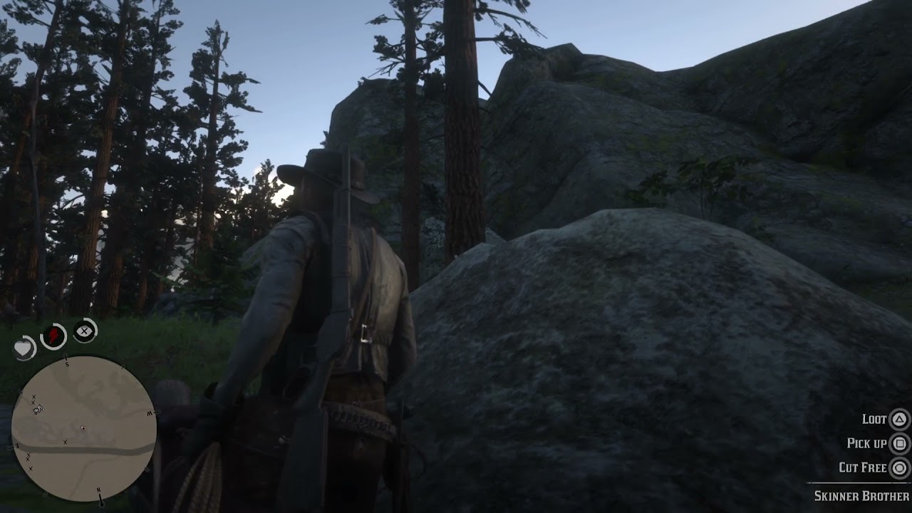 Red Dead Redemption 2 Sheeet!