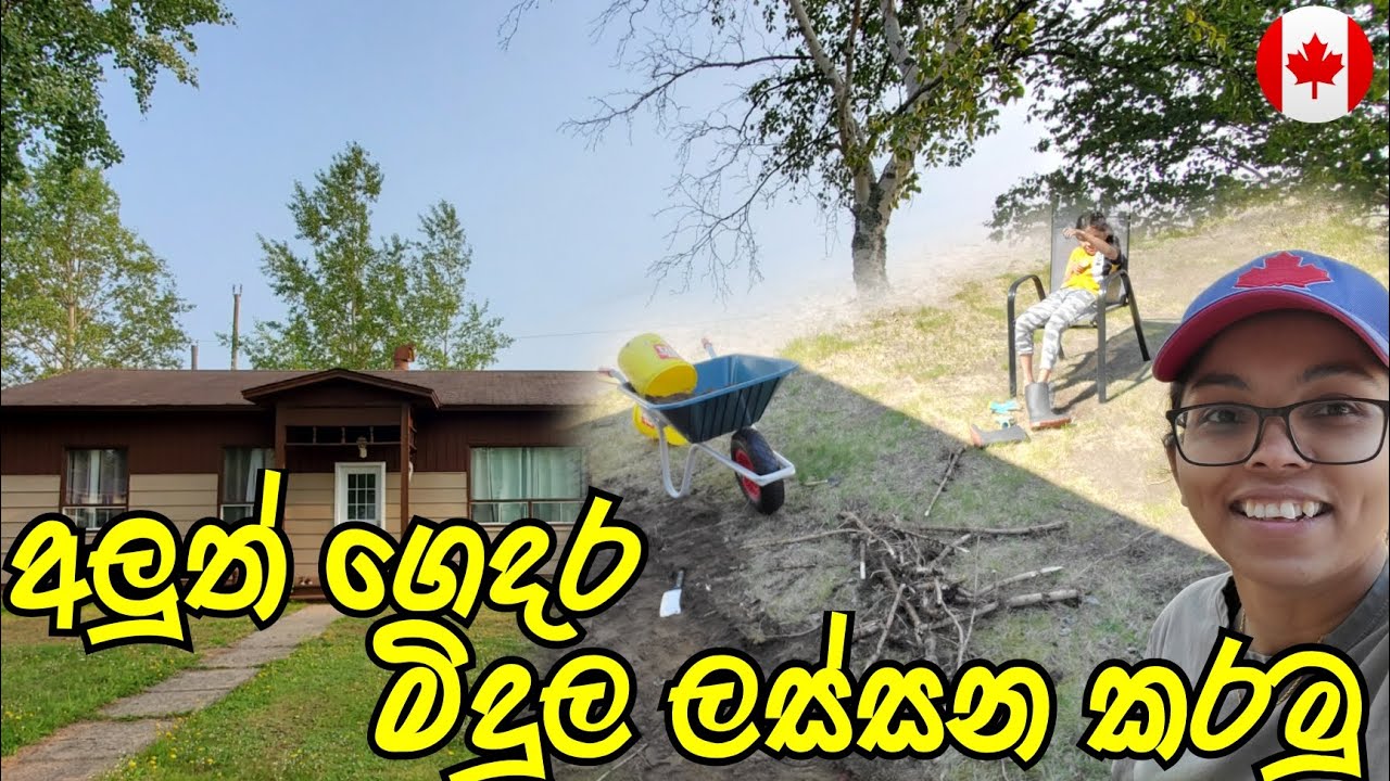අපේ අලුත් ගෙදර Garden එක ලස්සන කරන්න පටන් ගත්තා | සිංහල | Canada Sinhala Vlogs | @SehaVlogs