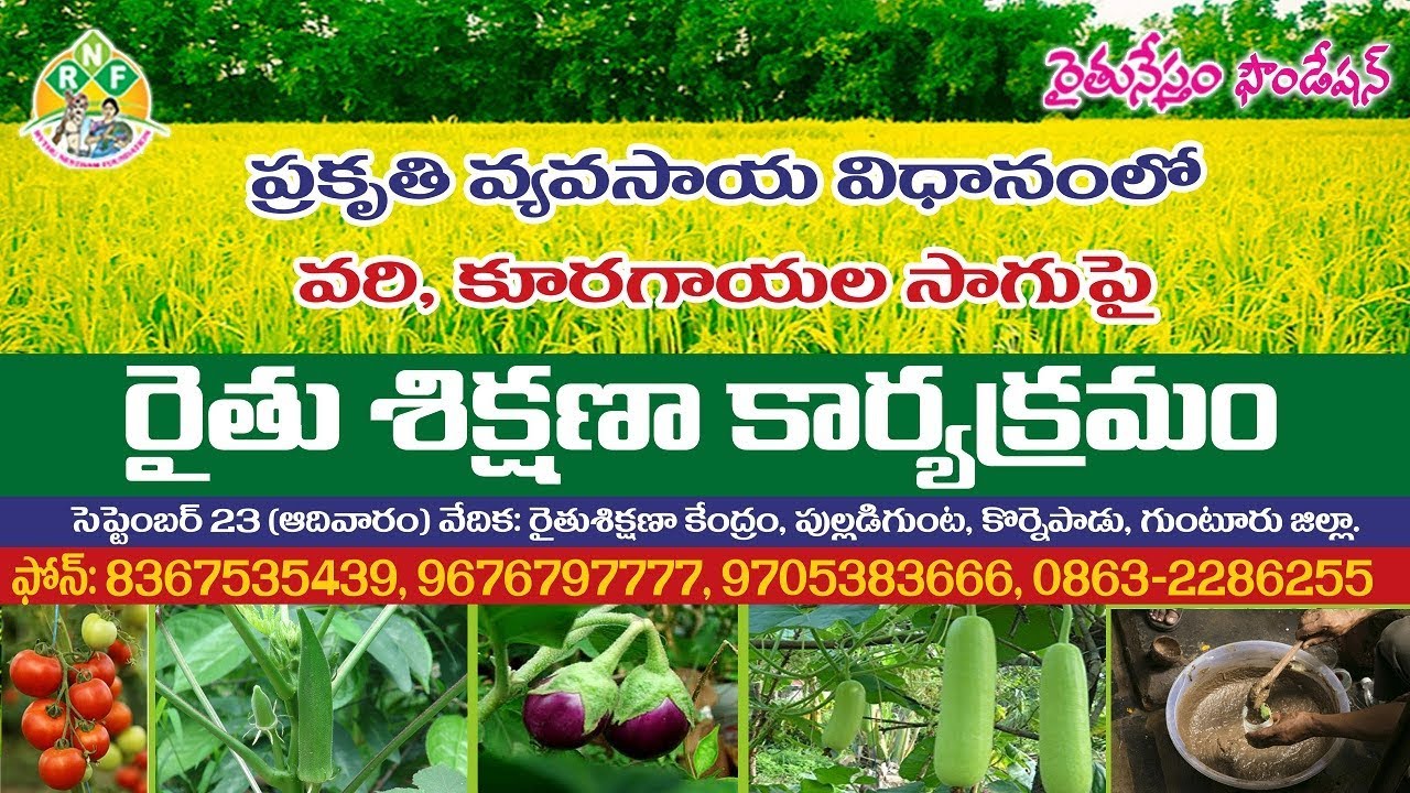 Farmer Training on Paddy, Vegetables Natural Cultivation || Rythunestham Foundation