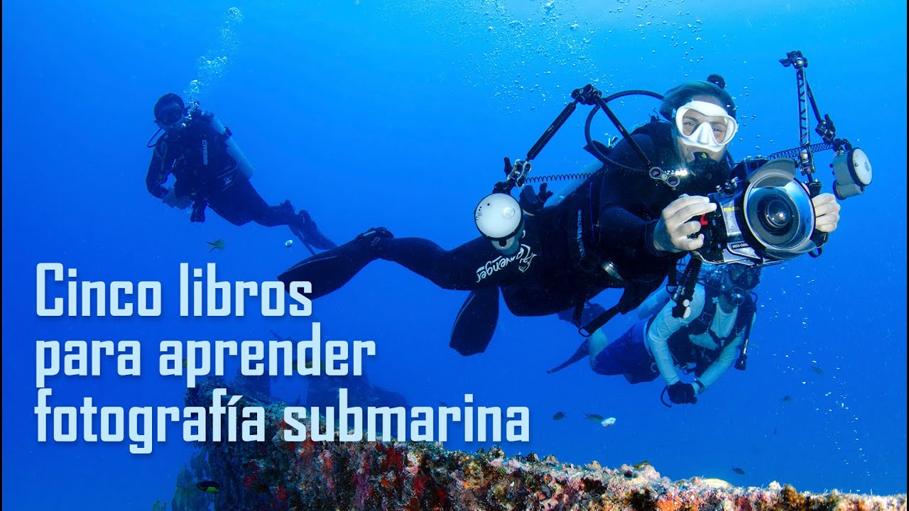5 Libros de fotografía submarina