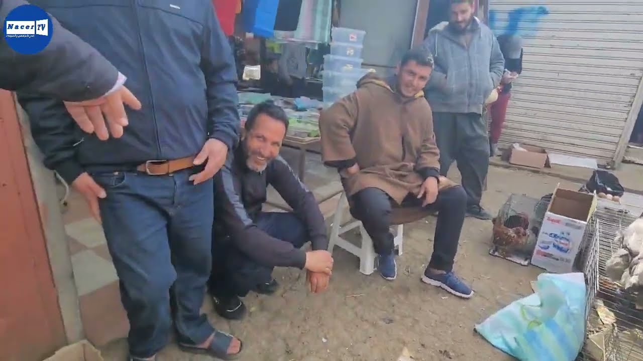 جولة رائعة اليوم بسوق بودواو لبيع جميع أنواع الدجاج الزينة و الوز و البط و الأرانب إلخ . أجواء رمضان