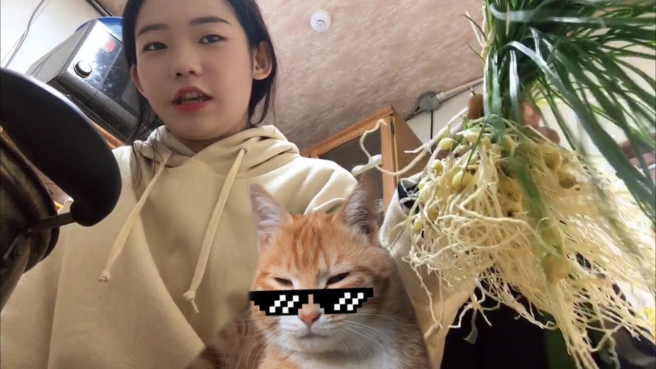 일하고 집밥 먹기, 제주살이