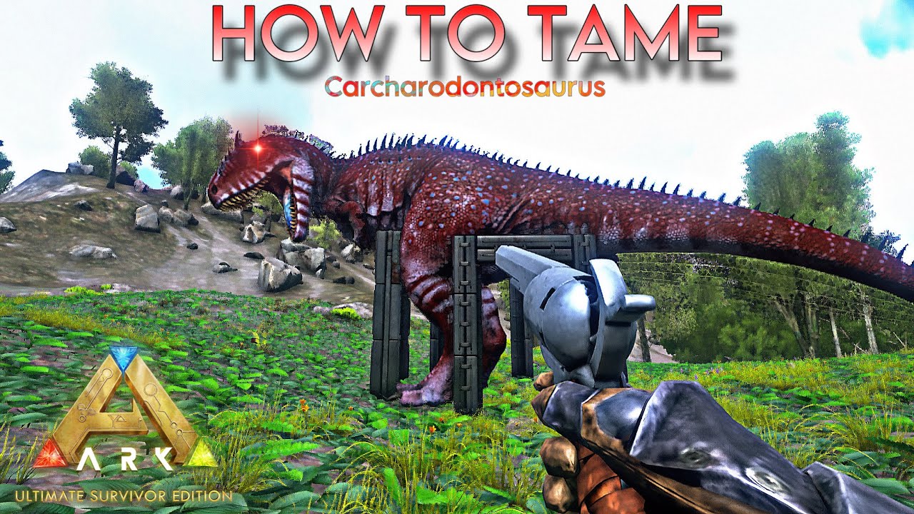 [How To Tame] [ Carcharodontosaurus ] | Ark ultimate mobile edition | beta version