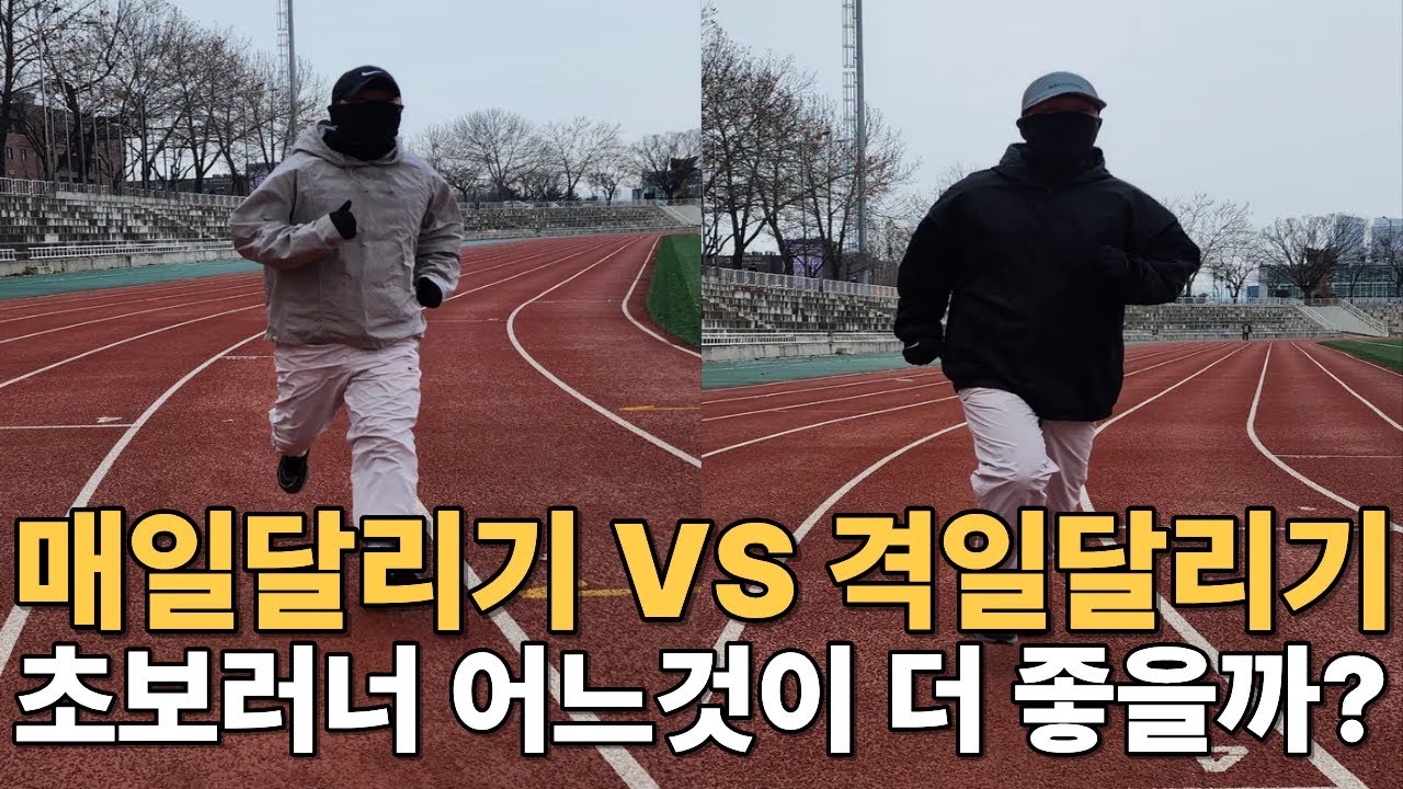 달리기 빈도에 대한 궁금증 l 직접 달려보고 깨달은 현실적 후기