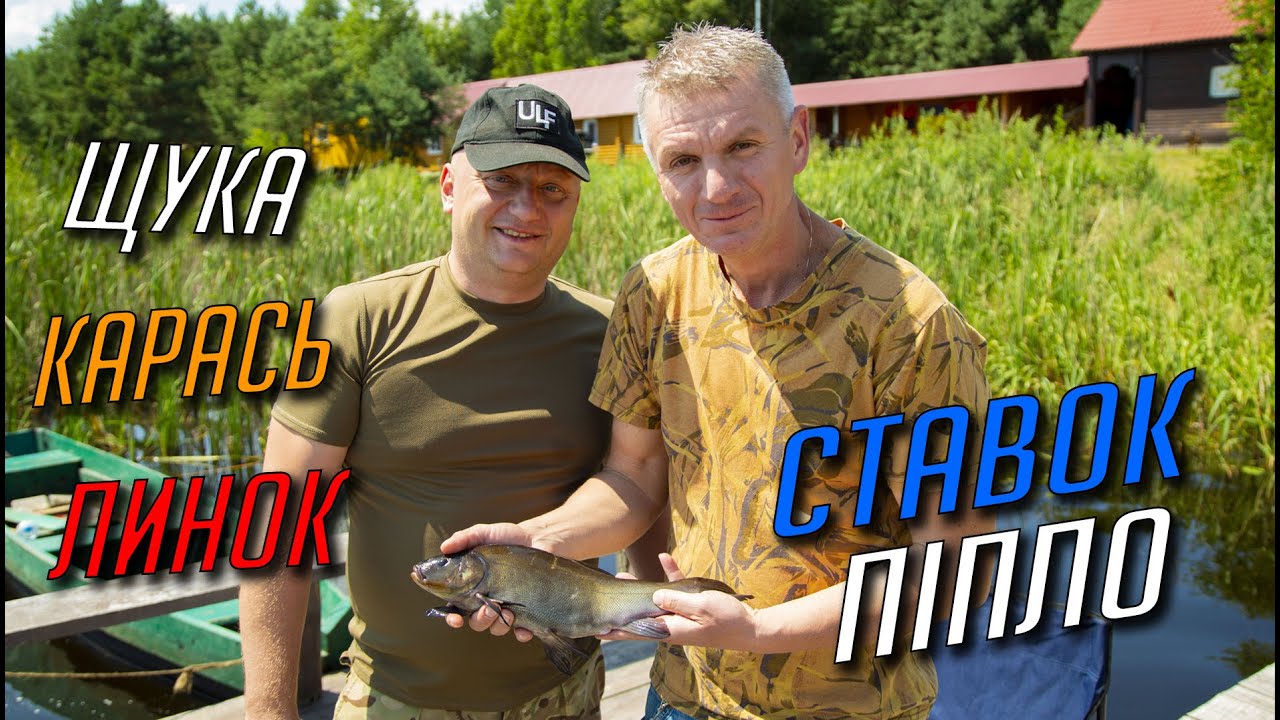 МРІЯ КОЖНОГО РИБАКА!! Красиві клювання линків та золотих карасюг!! ПІПЛО