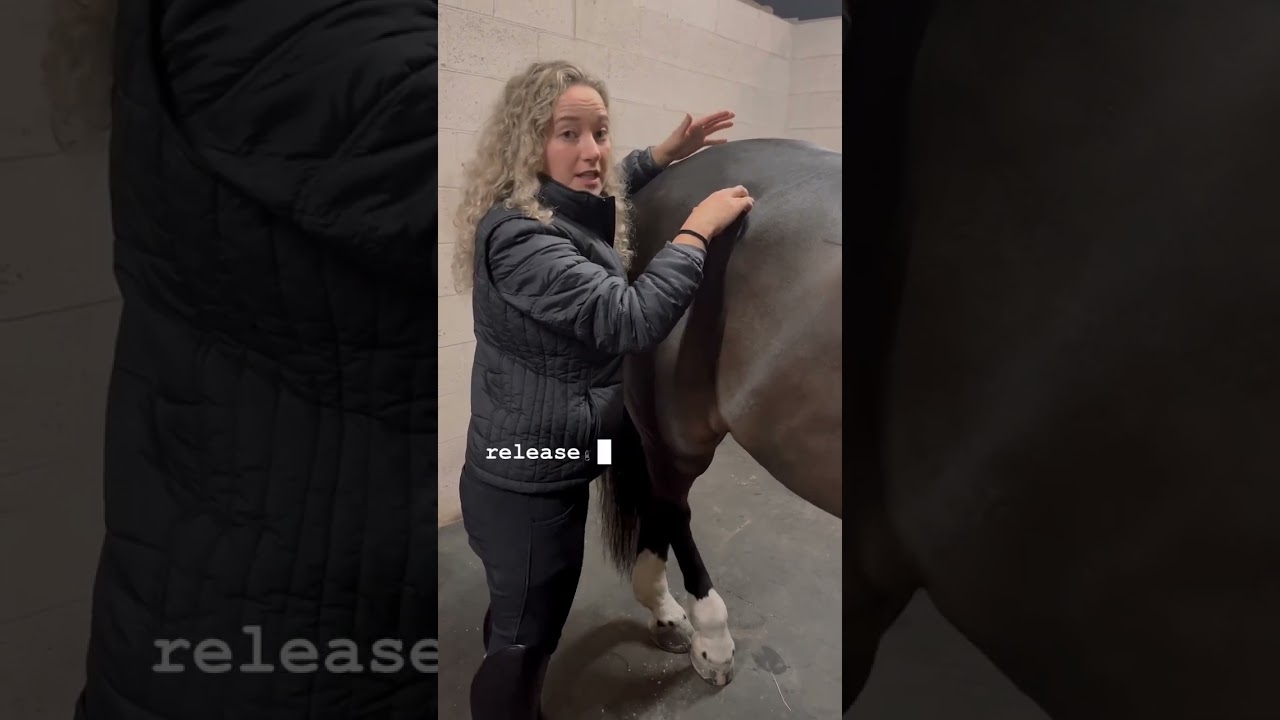 Want the FREE full training on the secret behind your horses lower back pain? DM me &ldquo;Secret&rdquo;! #equ