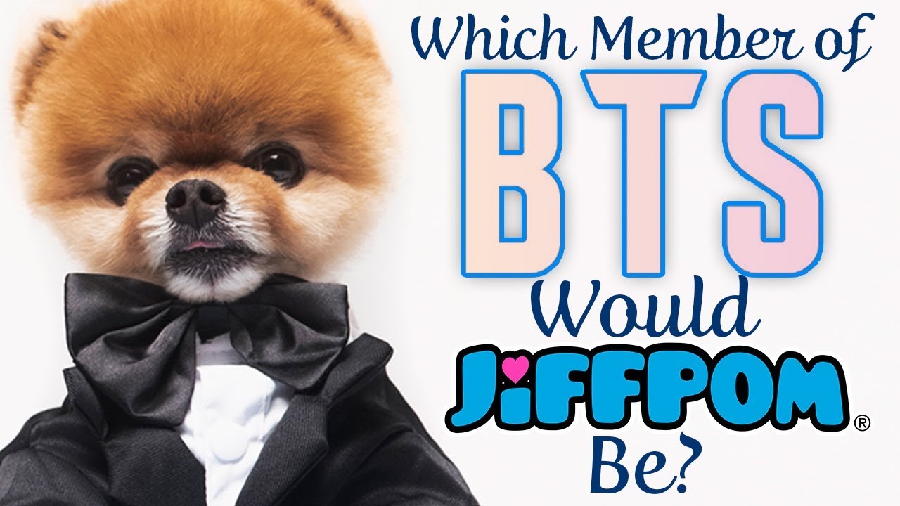 Which Member of BTS Would Jiffpom Be?