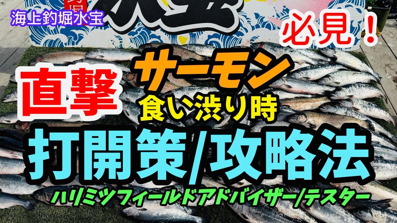 【海上釣堀水宝】必見！食い渋り時打開策／秘訣・サーモン攻略法等ハリミツフィールドアドバイザー／テスターに直撃@Pポチさん @HARIMITSU TV
