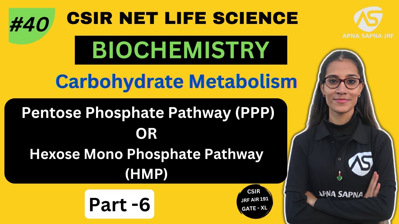 Pentose Phosphate Pathway || Carbohydrate Metabolism || Biochemistry || NET-LIFESCIENCE