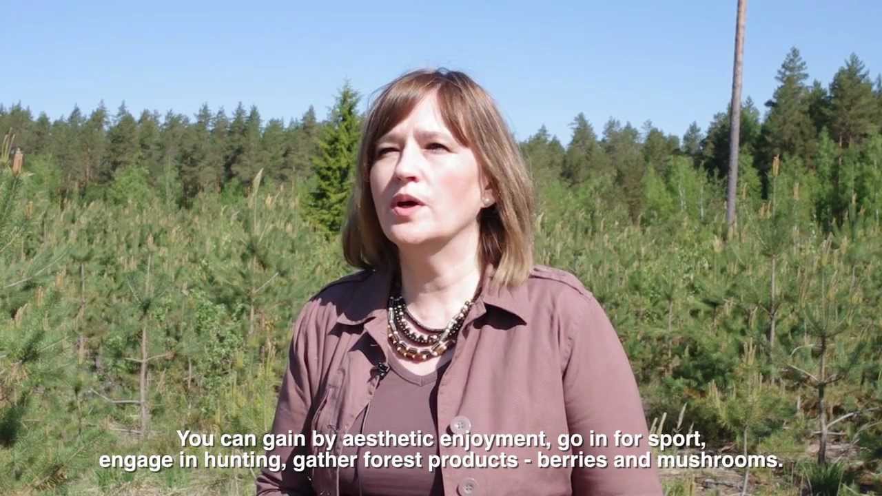 Mežs kā ekosistēma - Vidzeme (Forest as ecosystem - Vidzeme)