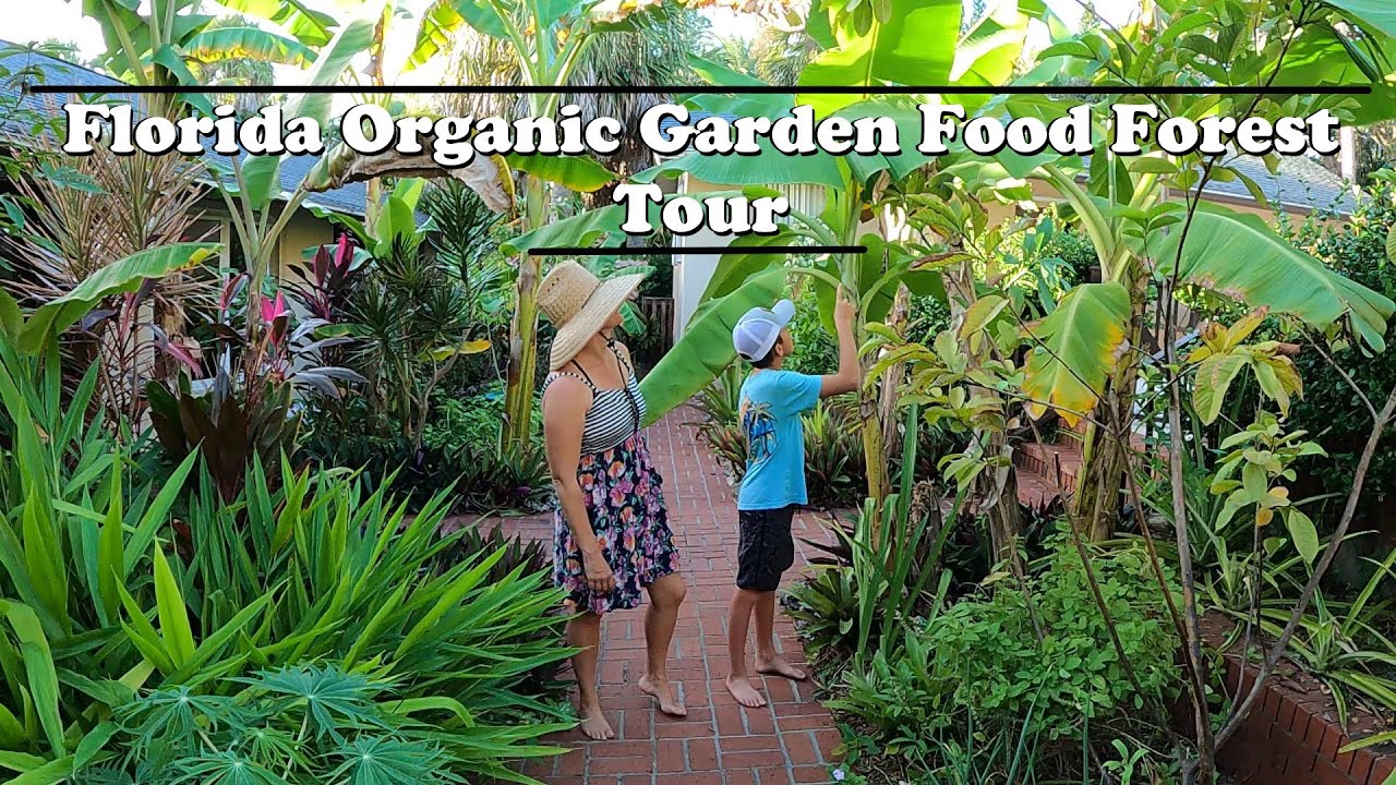 Florida Organic Edible / Tropical Garden Food Forest Tour | October Zone 10a