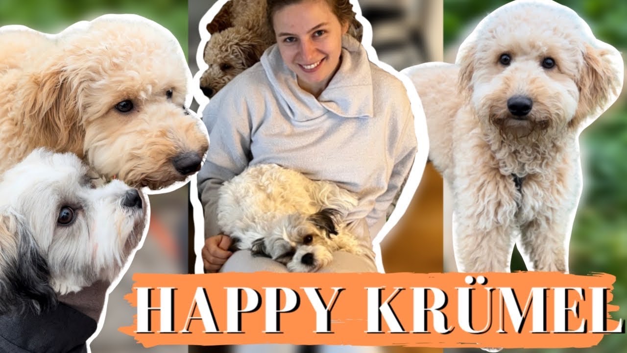 TIERSCHUTZ-HUND BLÜHT AUF🥺 I 1. AUSFLUG mit Krümel I 2. Woche I Fibis Adventures
