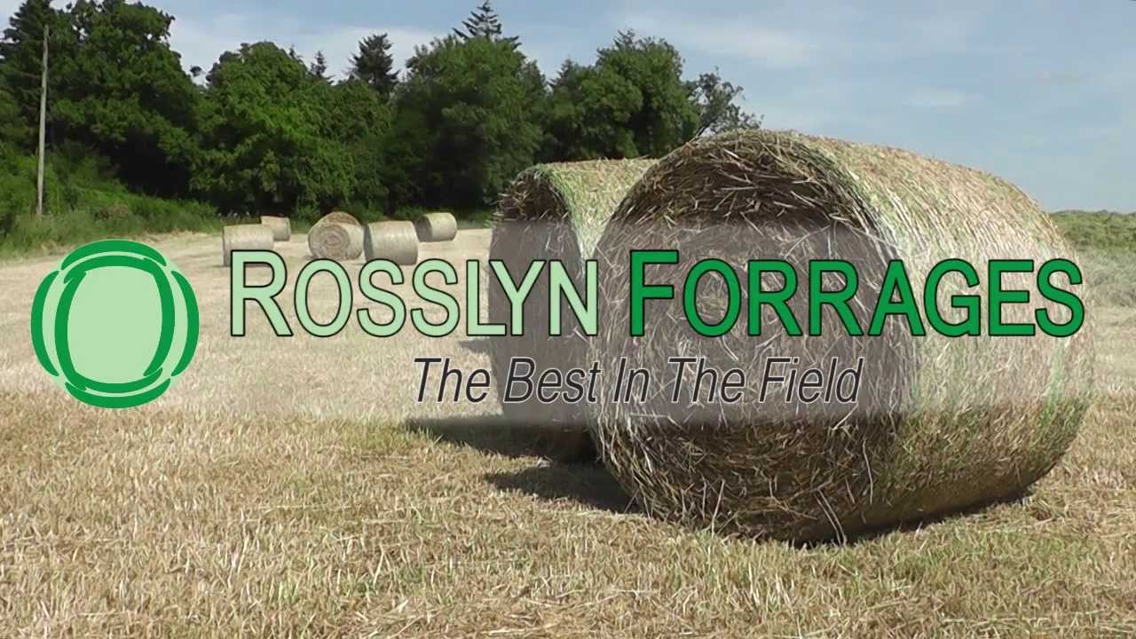 Rosslin Feeds