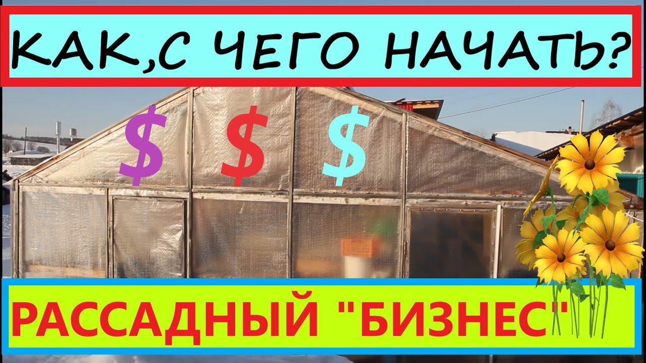Как начать цветочно-овощной 
