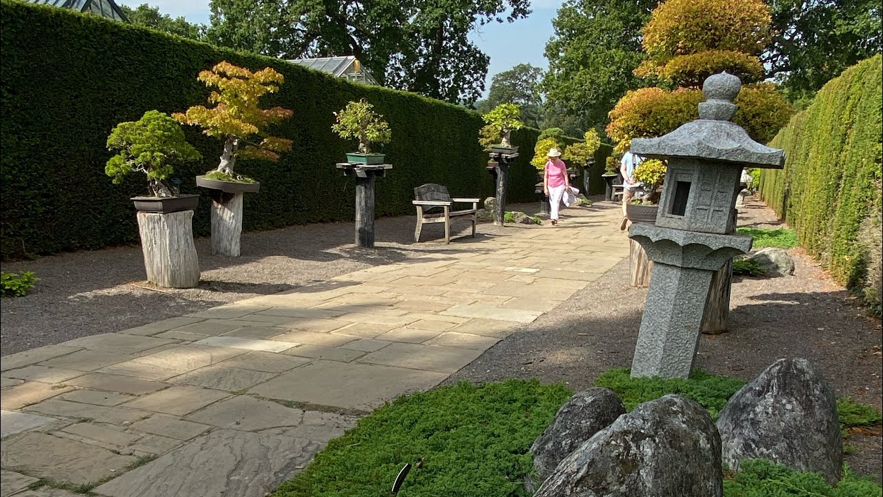 A visit to The Herons Bonsai Walk @ RHS Wisley, September 2021.