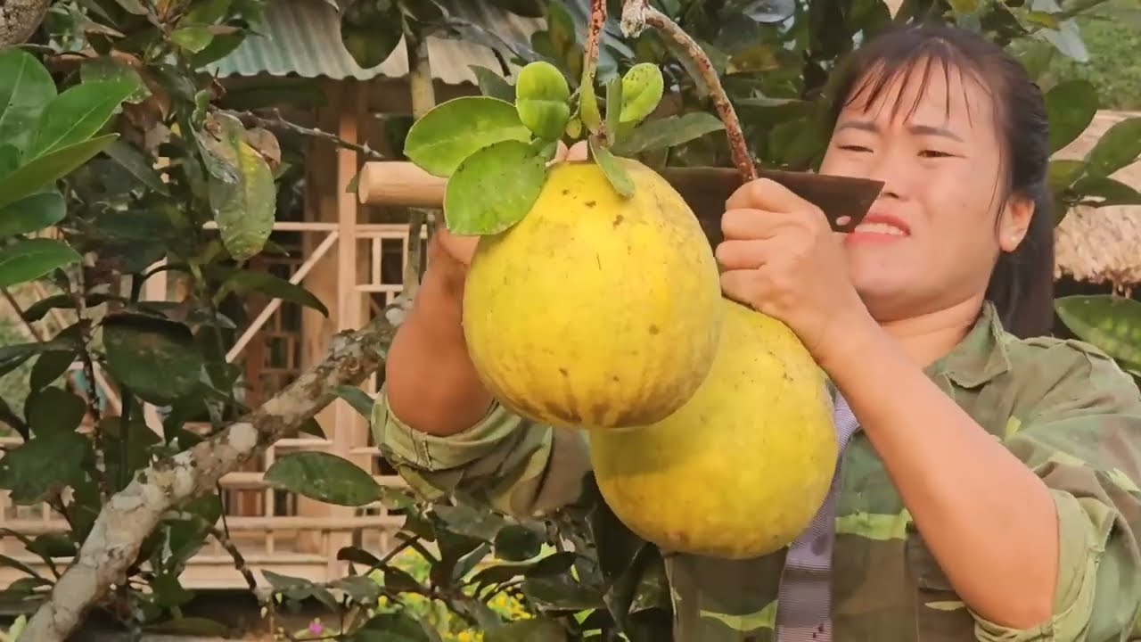 10 days Dần's Injury Led to Linh's SHOCKING Sales Discovery! | Linh's Life