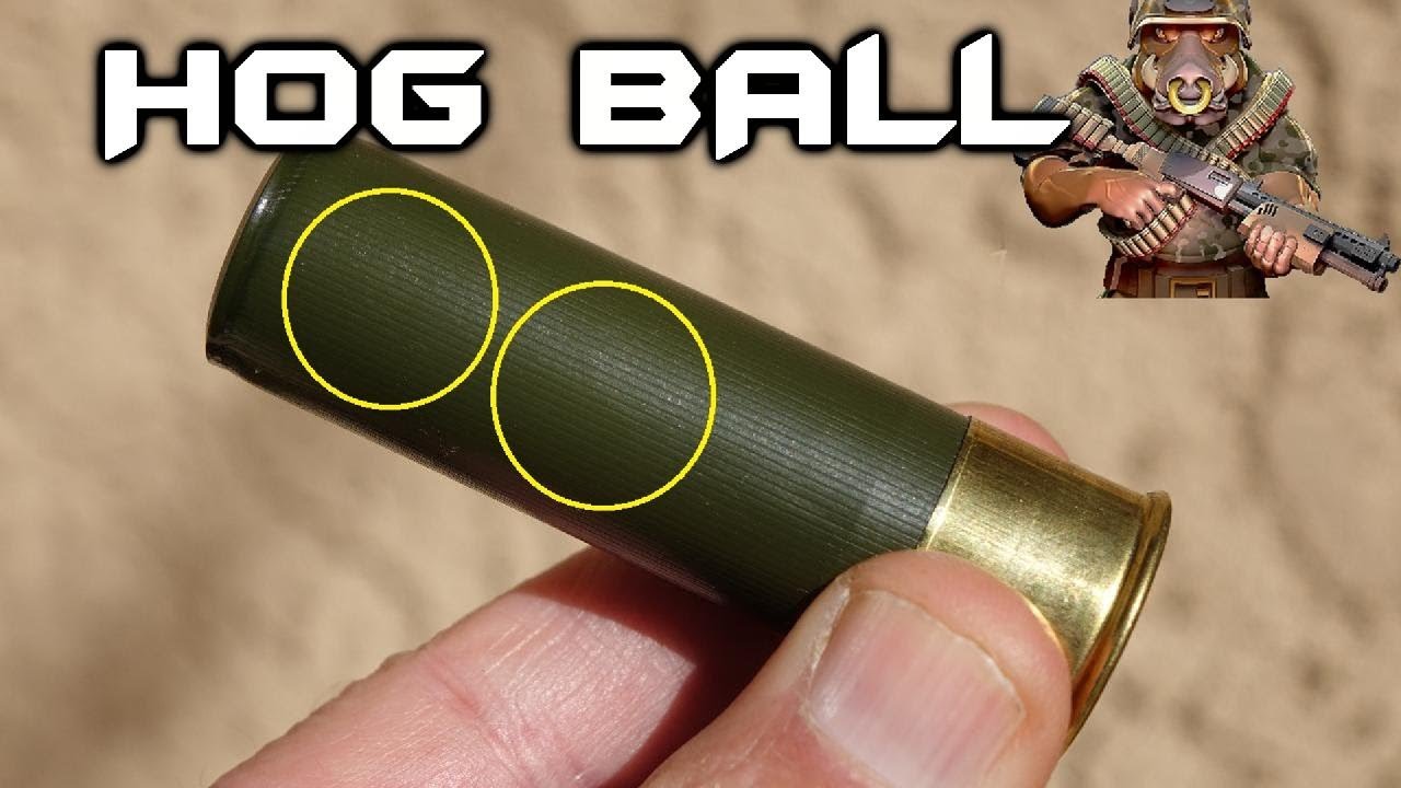 HOG BALL 12ga round - 2 .60 cal balls -  Excellent performance