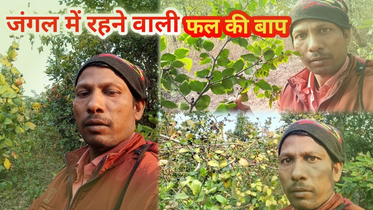 पहाड़ों में मुझे यह क्या मिल गया | jangal me kanod | #chandanrajovlog