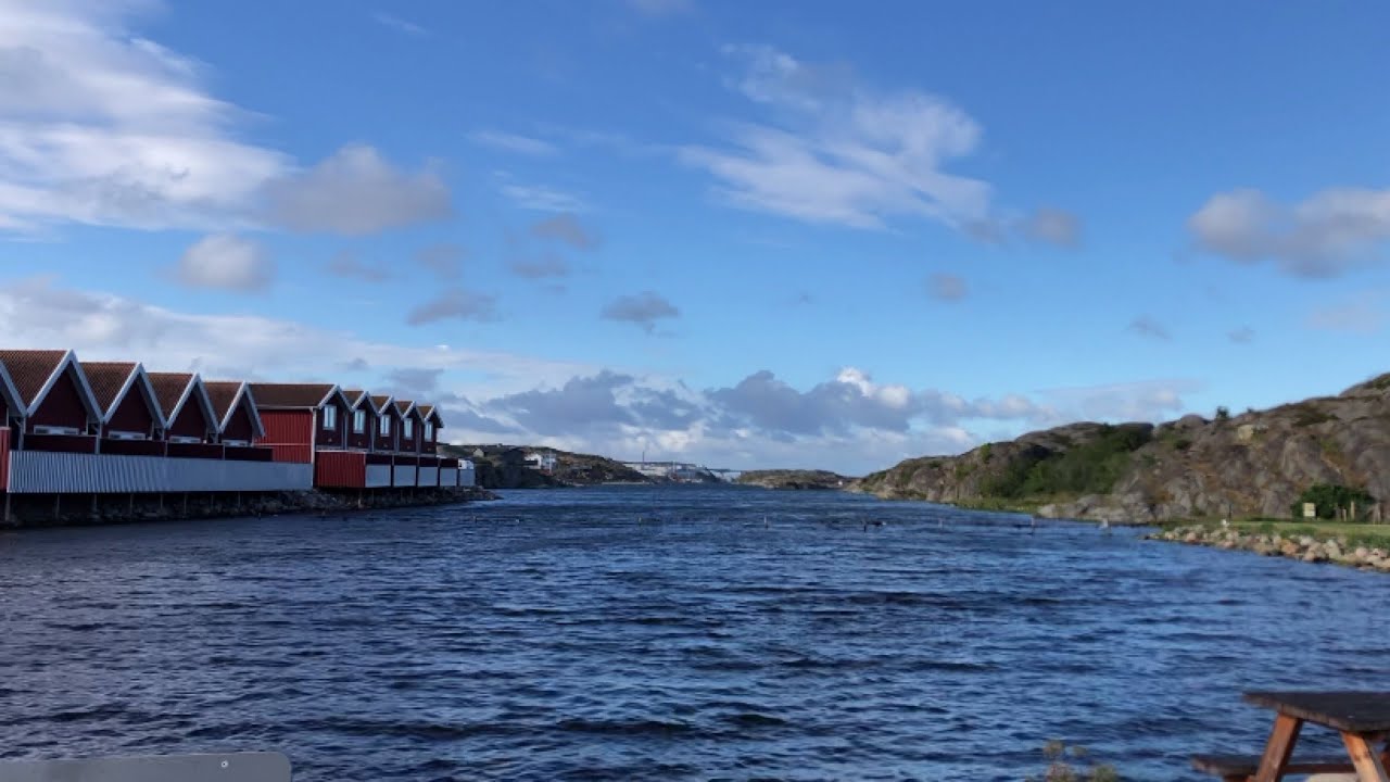 Evening walk/SwedishNature/First camp solvik-Kungshamn/Camping Western coast of Sweden/ Nature