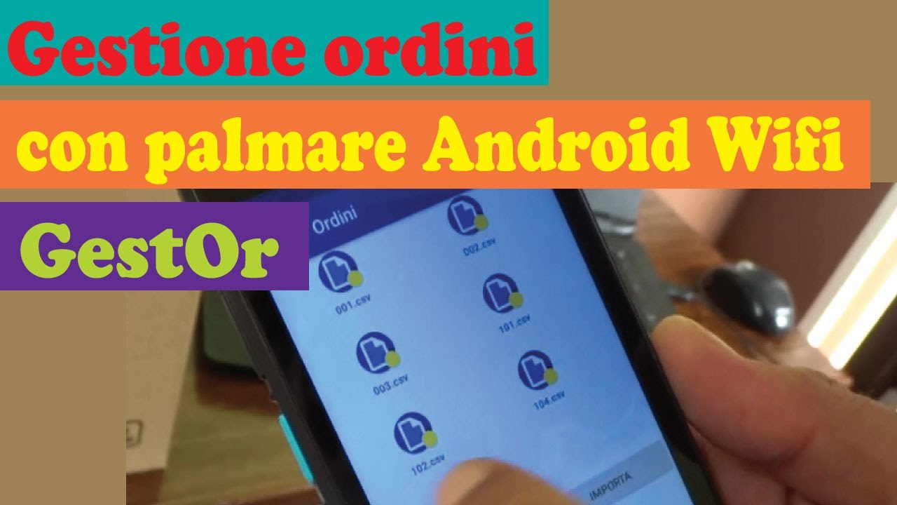GESTIONE ORDINI CON PALMARE ANDROID WIFI GestOr