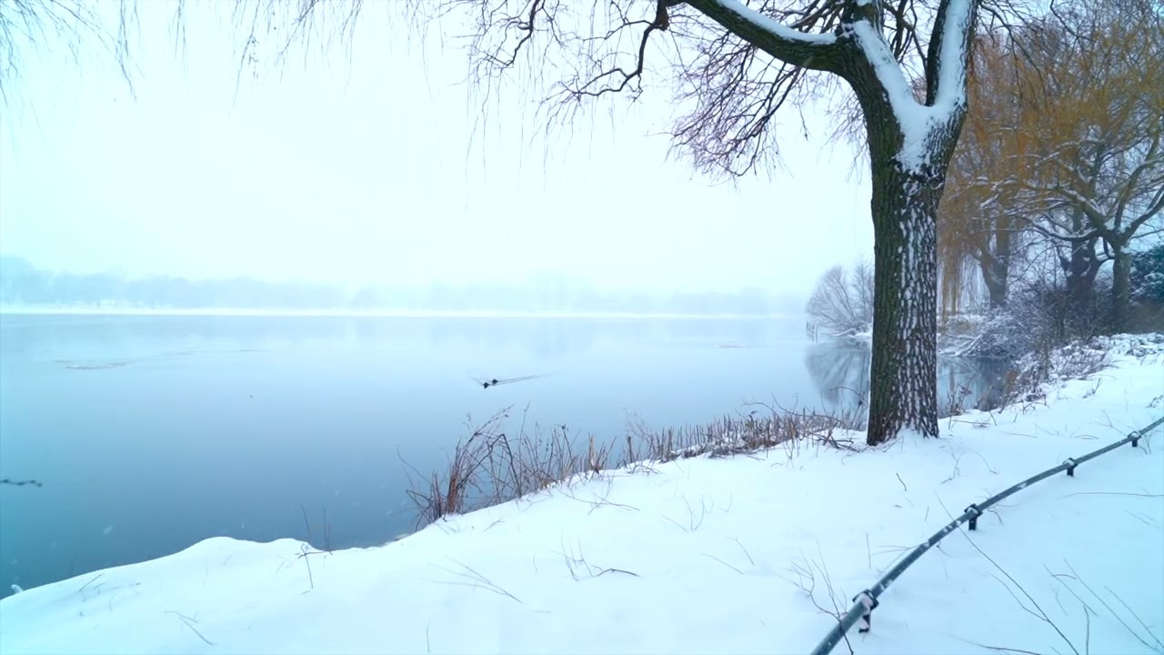 Focus Music: Hamburg in Winter 2026 Snowy Lo-Fi for Sleeping