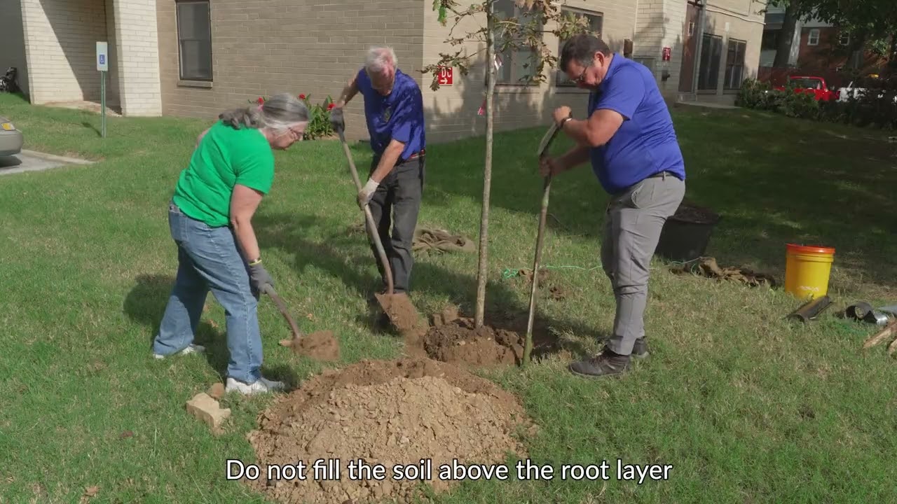 Tree Planting and Water Video  - Tree and Landscape Board College Park, MD