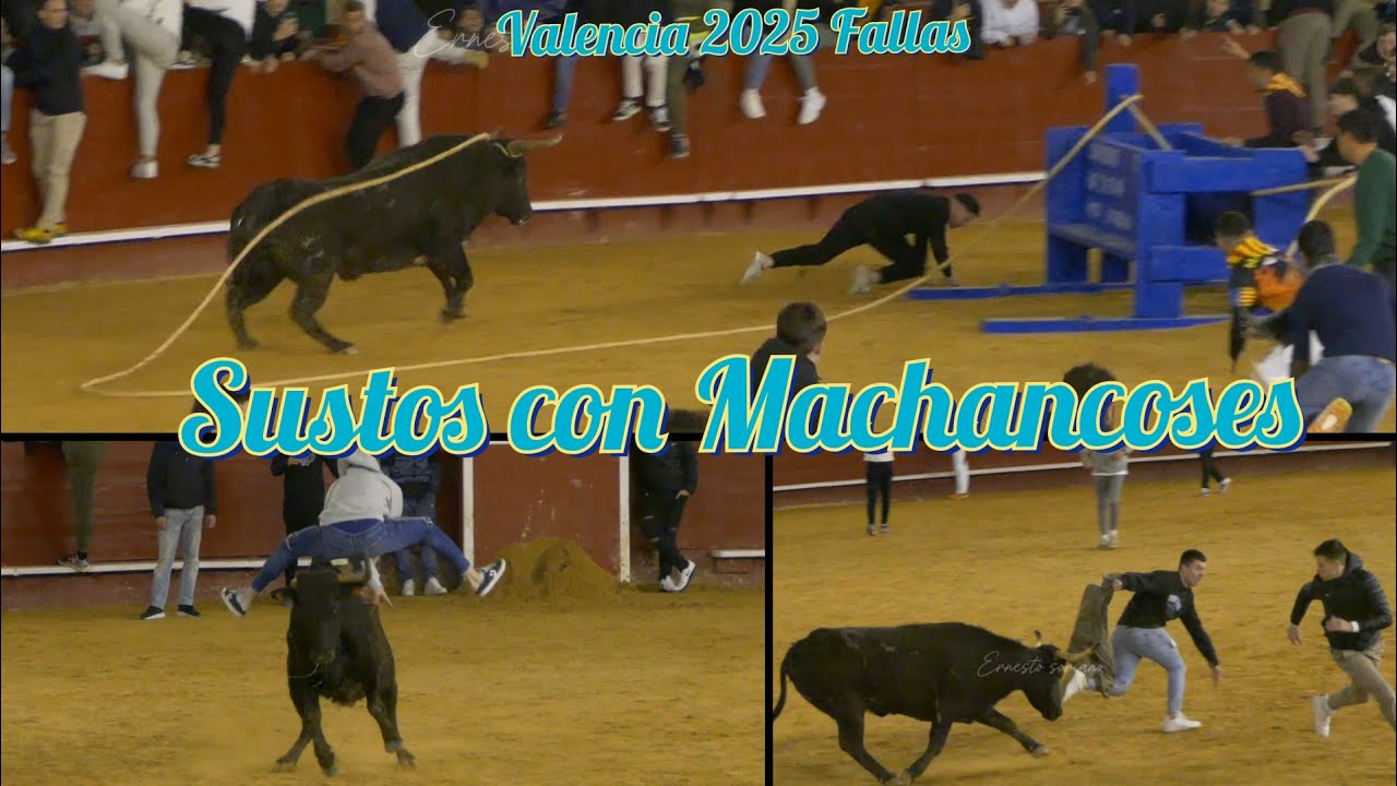 F.Machancoses y sus Vacas Falleras - Valencia 15 Marzo 2025