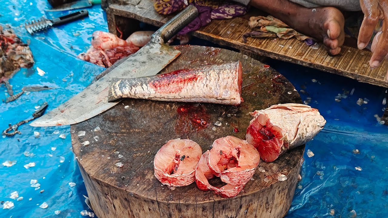 🔴 Live 🔴 Ami Babu Fishing