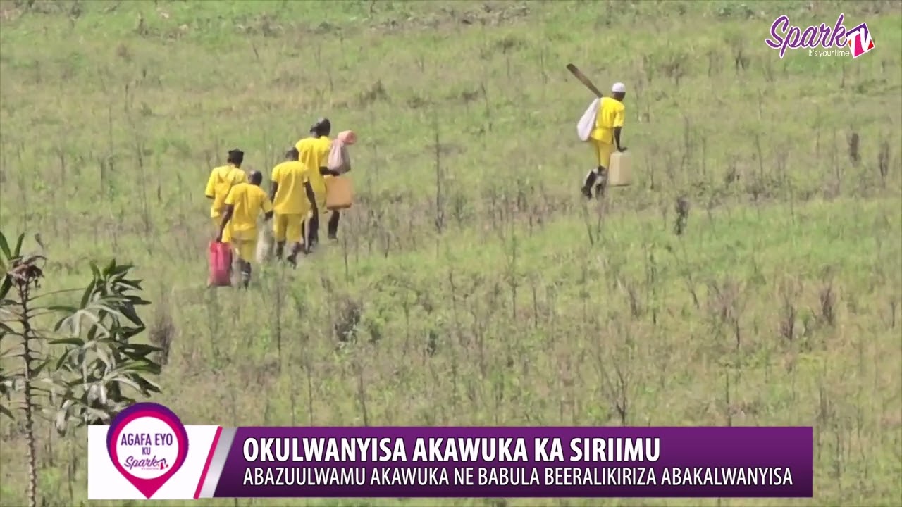 OKULWANYISA AKAWUKA KA SIRIIMU: Abazuulwamu akawuka nebabula beeraliikirizza abakalwanyisa