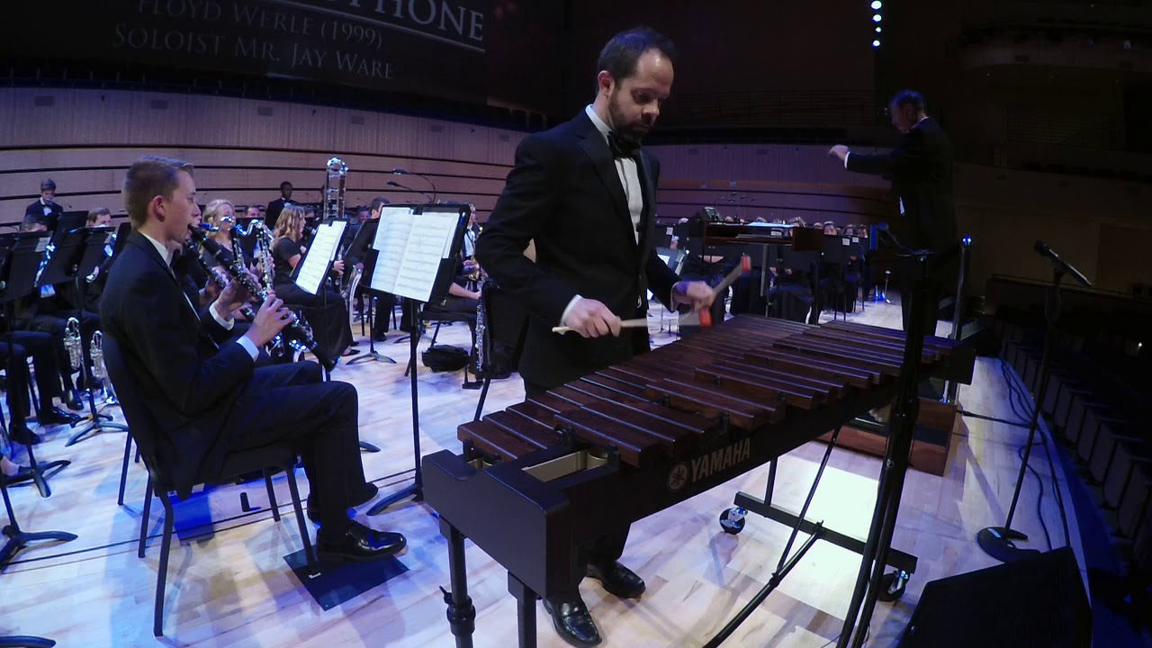 The Golden Age Of Xylophone