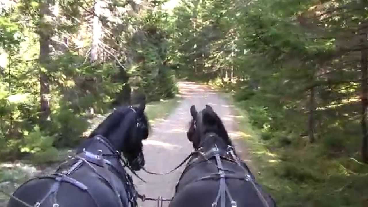 Mount Desert Island/Acadia National Park - Maine Trip