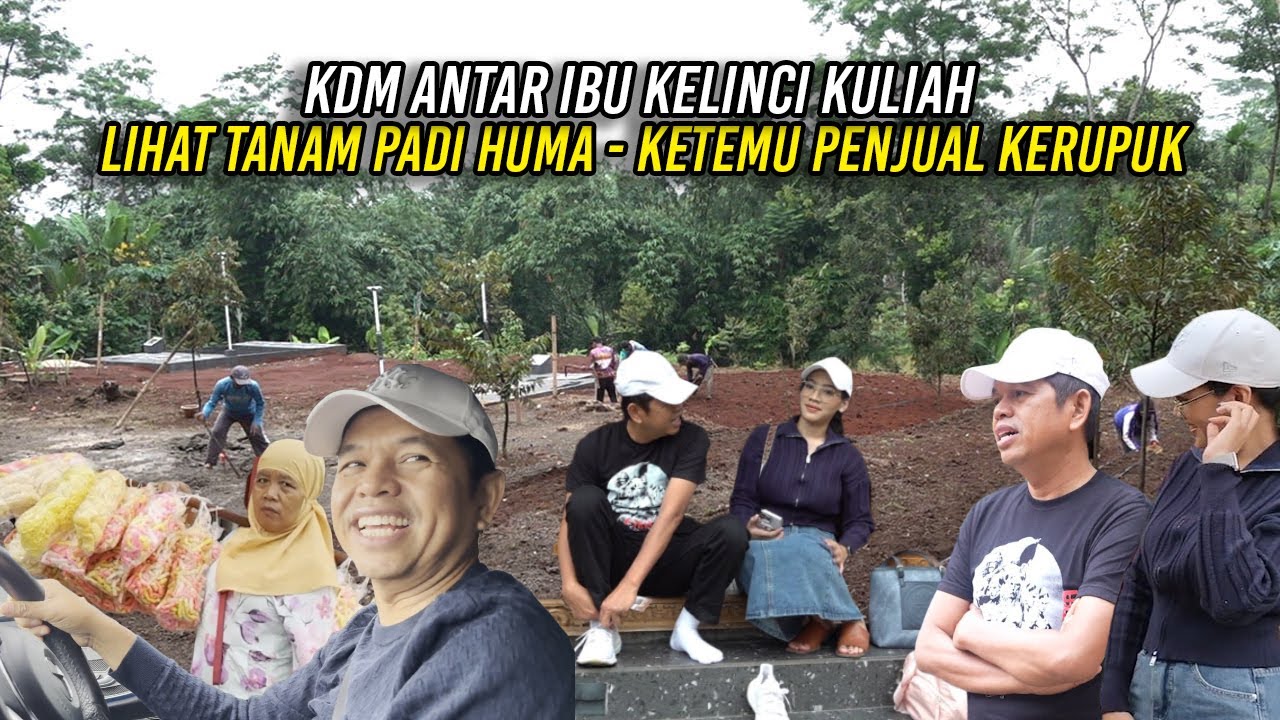 ANTAR KULIAH | KDM AJAK IBU KELINCI LIHAT NANAM PADI HUMA | KETEMU PENJUAL KERUPUK