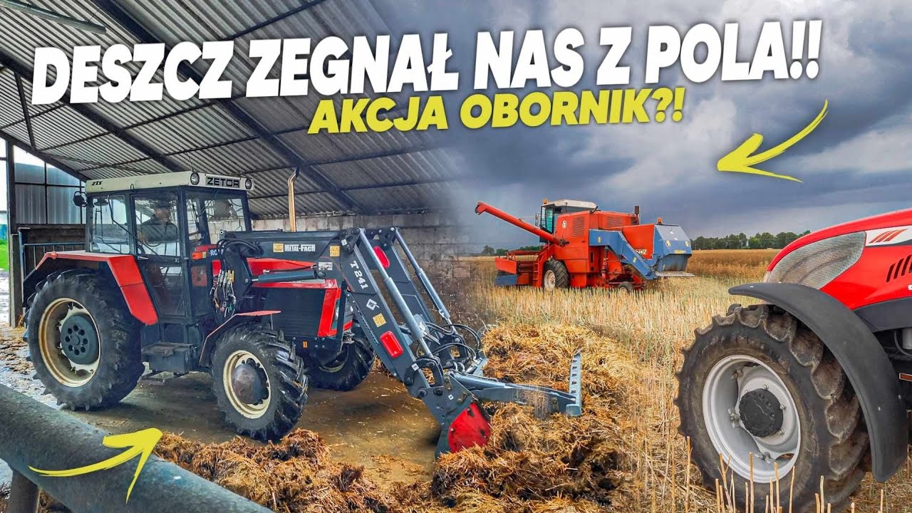 Deszcz zgonił Nas z Pola! Romeo Zły na...! Łobornik od Rogaczy! Robi się nie ciekawie!🔥NIEMENÓWKA#53