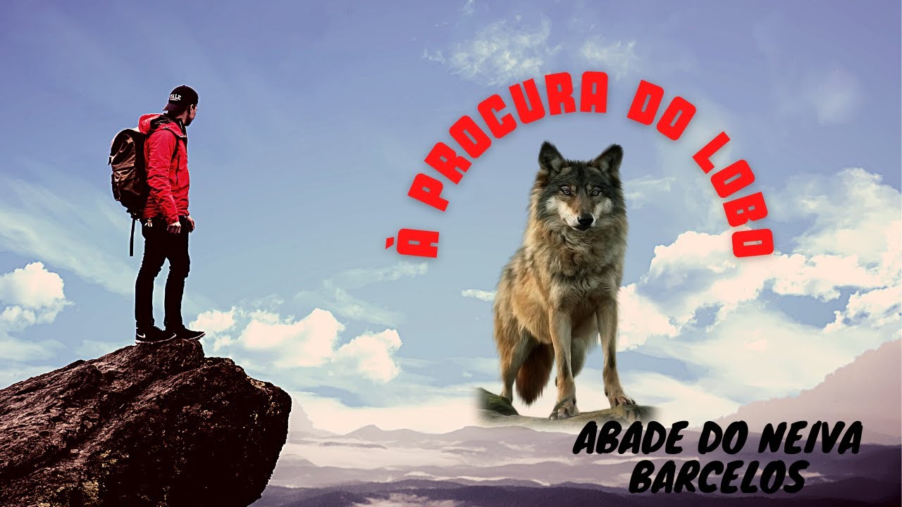 À procura do Lobo... Em Barcelos, Portugal.  Por António Pereira-drone Parrot Anafi