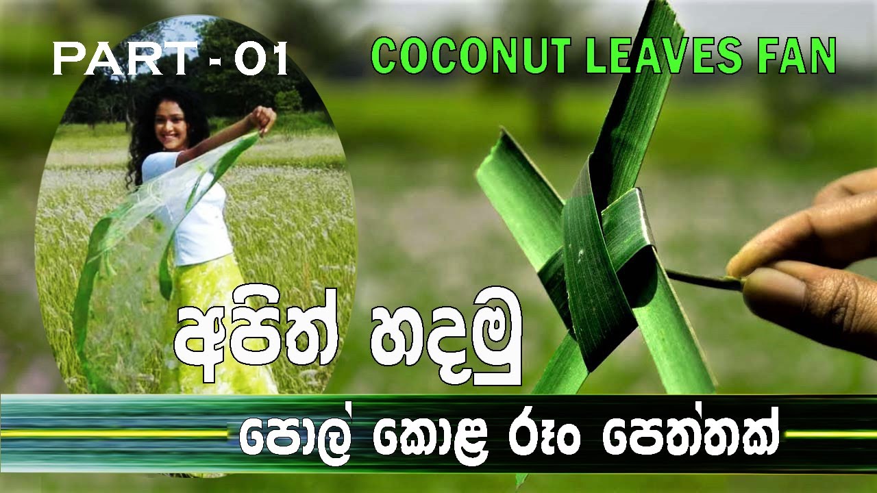 Polkola roong peththa ( how to make a Coconut leaf fan )