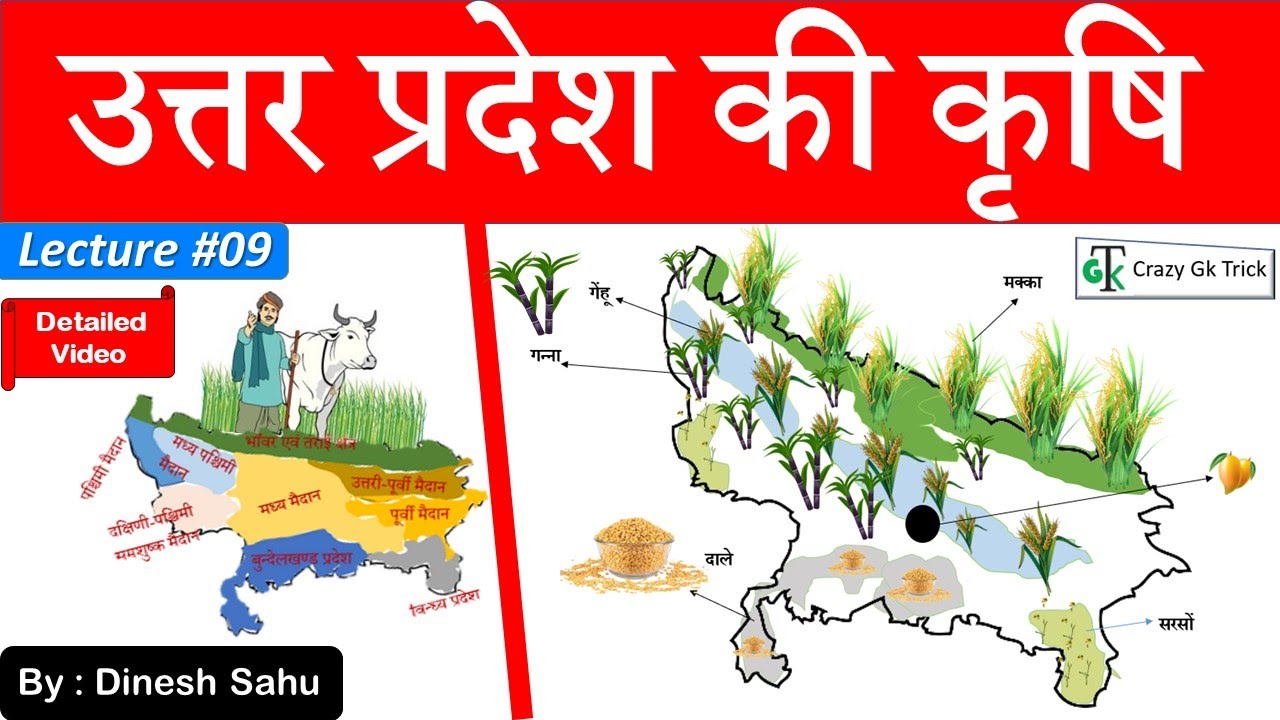 UP GK | Lecture 09 : उत्तर प्रदेश की कृषि एवं पशुपालन | Agriculture of UP | UP Gk Notes | UPPCS