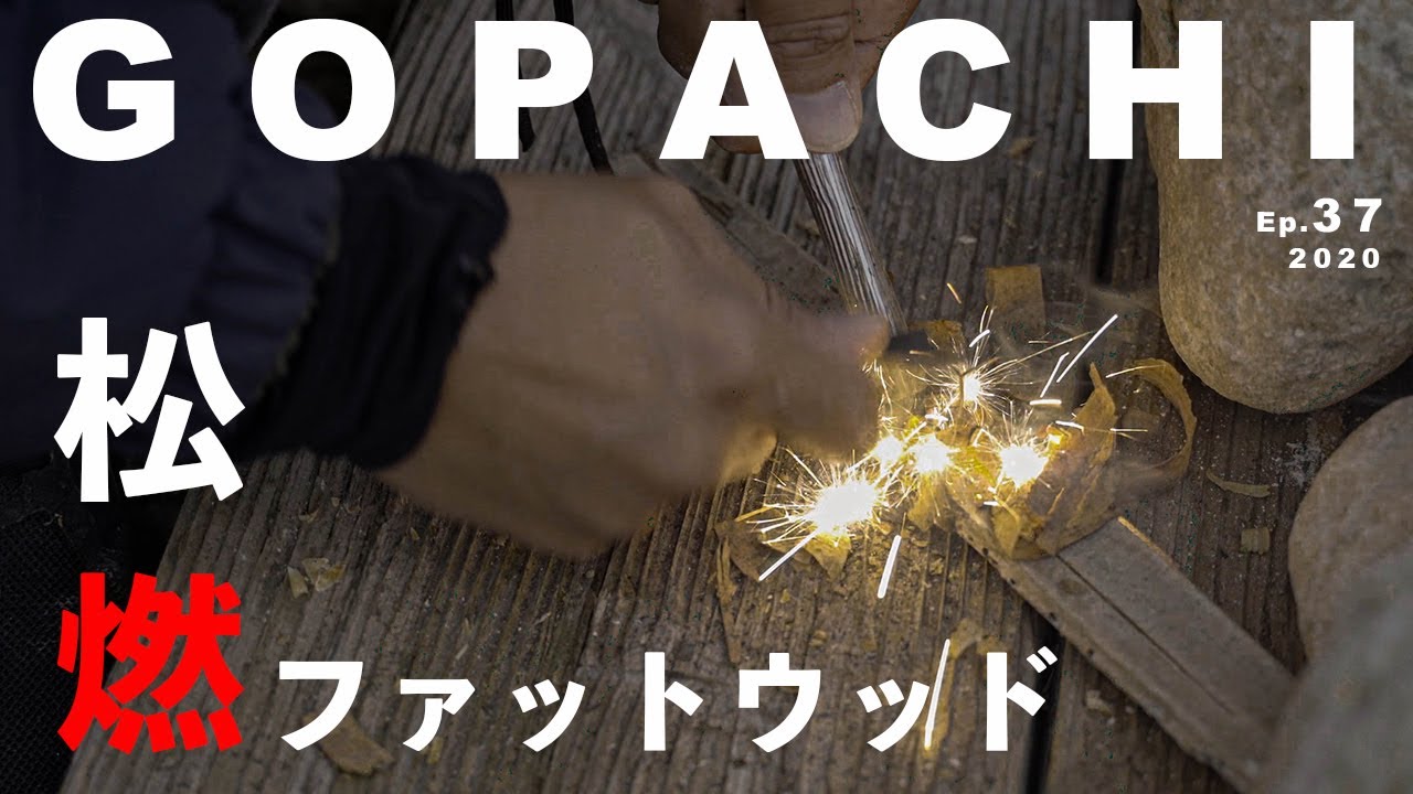 【ソロキャンプ】『ファットウッドを採取しソロキャンプへ』｜天然の着火剤