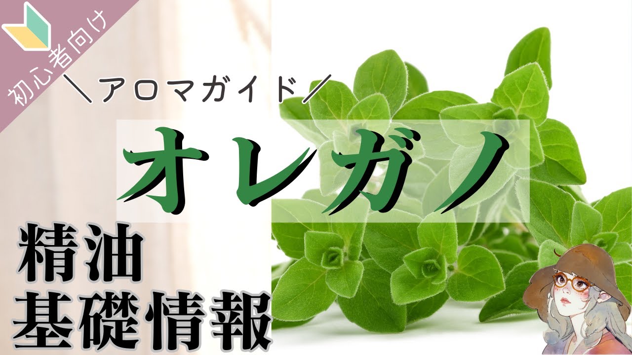 【アロマガイド（初心者向け）】オレガノ精油の基礎情報、使い方、香りの特徴、豆知識