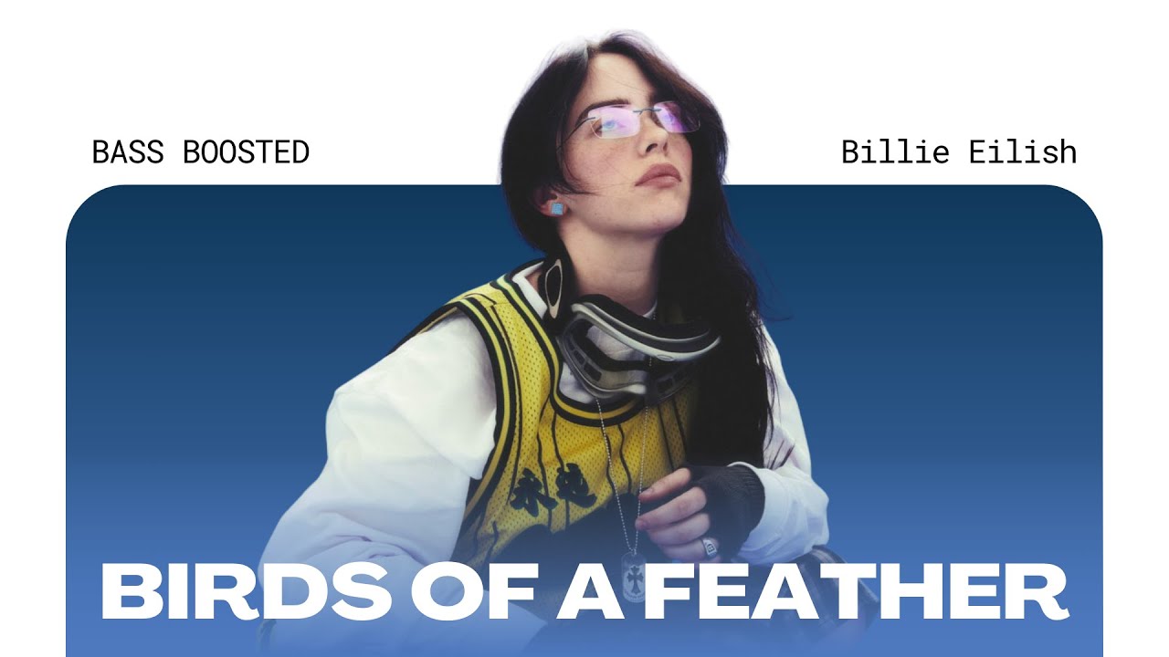 Billie Eilish - BIRDS OF A FEATHER [BASS BOOSTED]