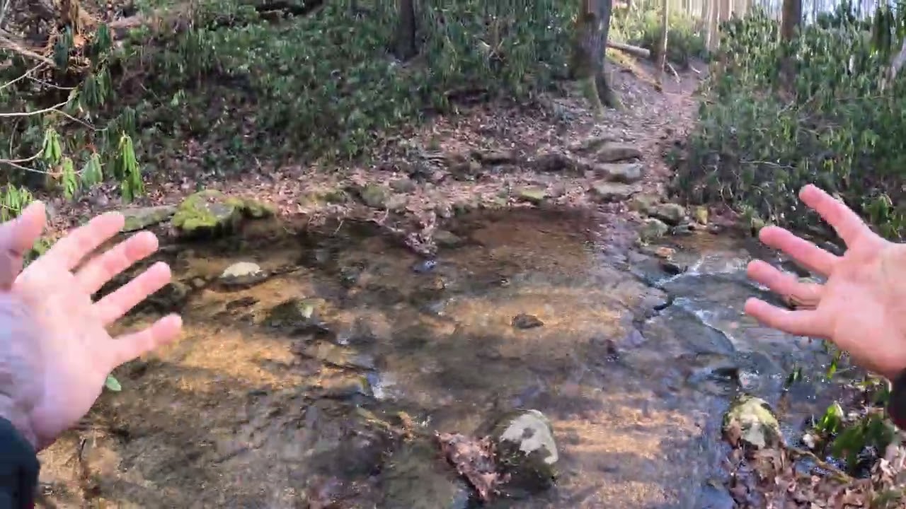 Timelapse going down Hickey Fork Falls