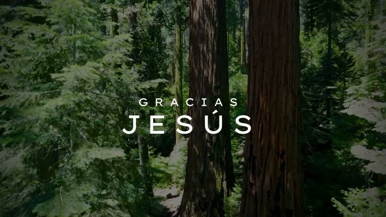 Gracias Jesús Gracia salvadora /