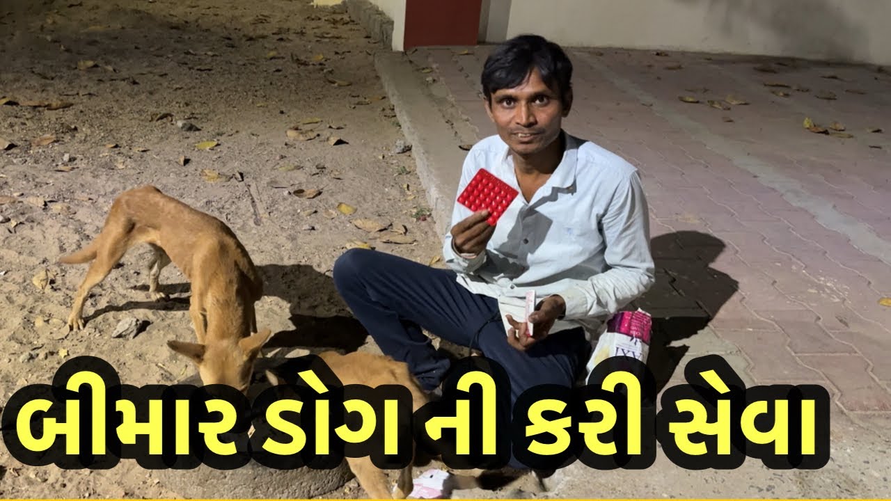 બીમાર ડોગ ની કરી સેવા | Ranchhod official #vlogs 