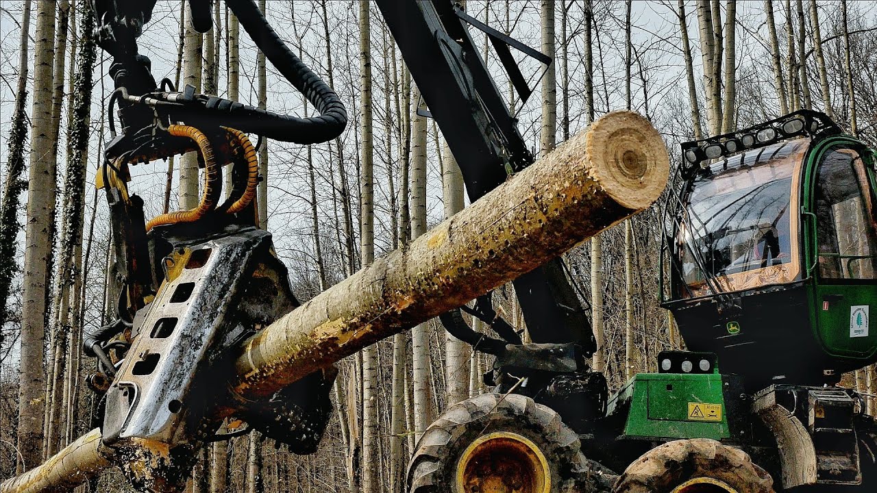 🌲ABATTAGE forêt de PEUPLIERS | JOHN DEERE 1071E - SM Bois🤠