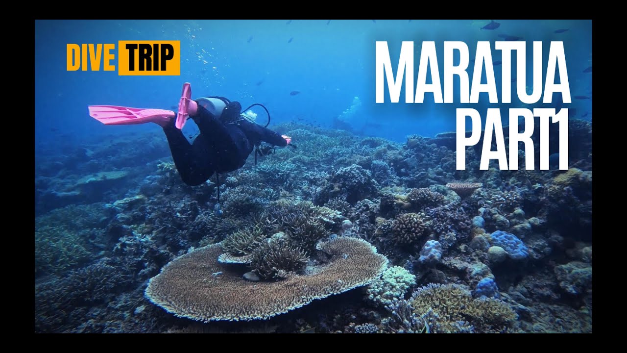 VLOG | DIVE TRIP | Maratua, East Borneo, Indonesia - Part 1